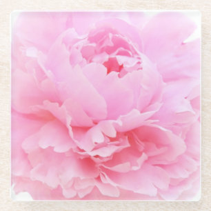 Rosa Blütenblätter Glasuntersetzer