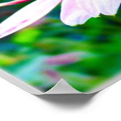 Rosa Blütenblätter Poster (Ecke)