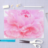Rosa Blütenblätter Seidenpapier (Handwerk)