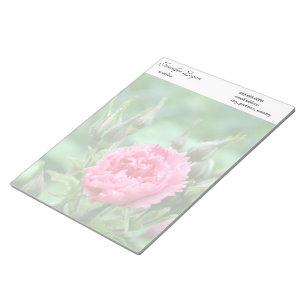 Rosa Blütenblume, Blumenfotografie. Notizblock