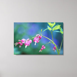 Rosa blutende Herzen im Garten. Kredit als: Leinwanddruck