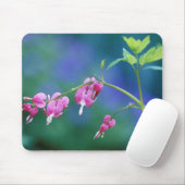 Rosa blutende Herzen im Garten. Kredit als: Mousepad (Mit Mouse)