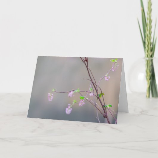 Rosa Blütendecke Karte (Vorderseite)