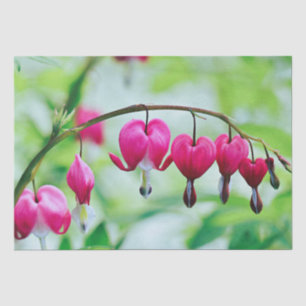 Rosa blutendes Herz-Blume Elegant Seidenpapier