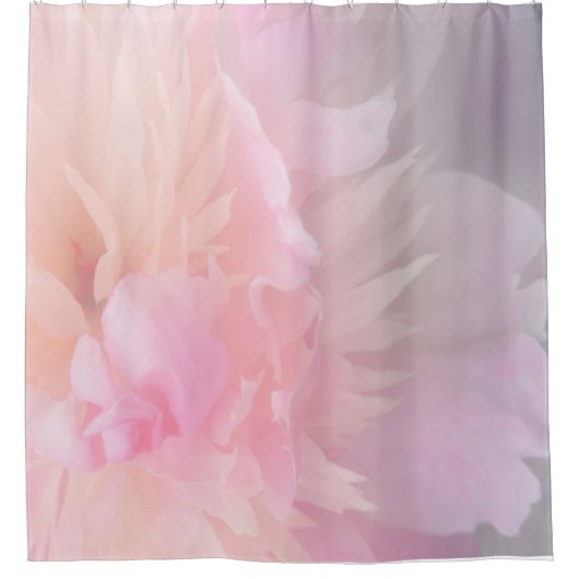 Rosa Blütendusche Vorhang (Vorderseite)