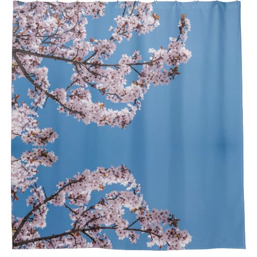 Rosa Blütenhimmel Duschvorhang (Vorderseite)