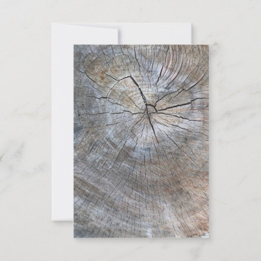 Rosa Blütenhochzeit Einladung (Rückseite)