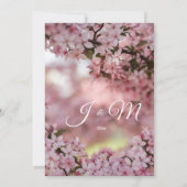 Rosa Blütenhochzeit Einladung (Rückseite)