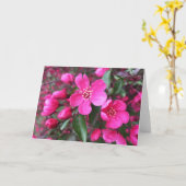 Rosa Blütenkrabapfel Karte (Gelbe Blume)