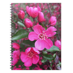 Rosa Blütenkrabapfel Notizblock
