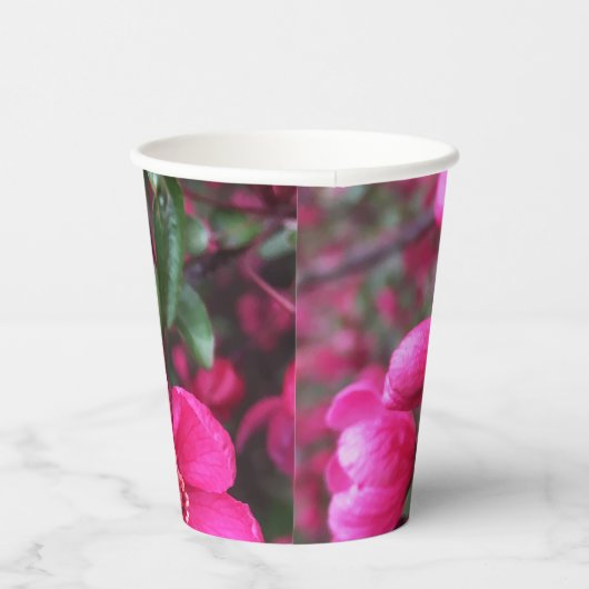 Rosa Blütenkrabapfel Pappbecher (Rechts)