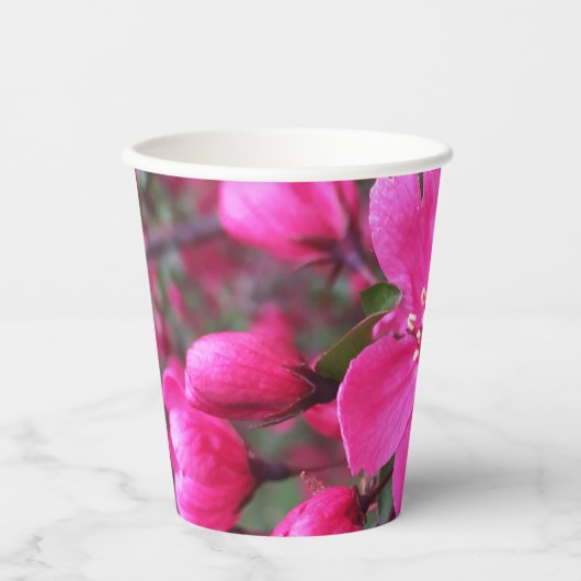 Rosa Blütenkrabapfel Pappbecher (Vorderseite)