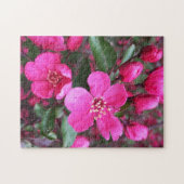 Rosa Blütenkrabapfel Puzzle (Horizontal)