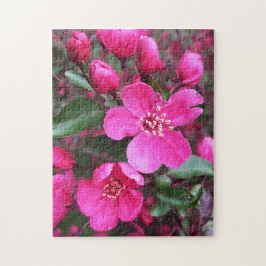 Rosa Blütenkrabapfel Puzzle (Vertikal)