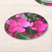 Rosa Blütenkrabapfel Runder Pappuntersetzer (Angewinkelt)