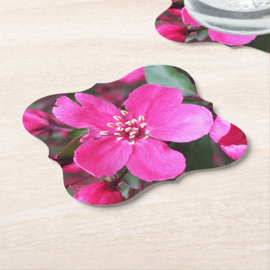 Rosa Blütenkrabapfel Untersetzer (angewinkelt)