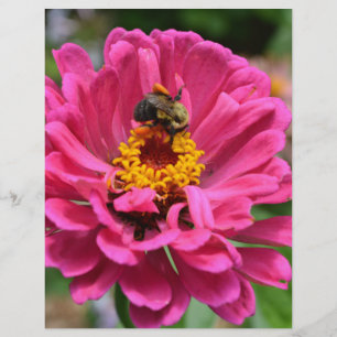 Rosa Blütenmaus-Blume