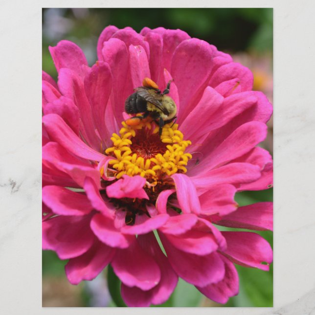 Rosa Blütenmaus-Blume (Vorderseite)