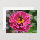 Rosa Blütenmaus-Blume Postkarte (Vorne/Hinten)