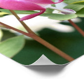 Rosa Blutung Herzspiegel Blume Abstrakt Poster (Ecke)