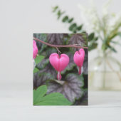 Rosa Blutungen Herz Postkarte (Stehend Vorderseite)