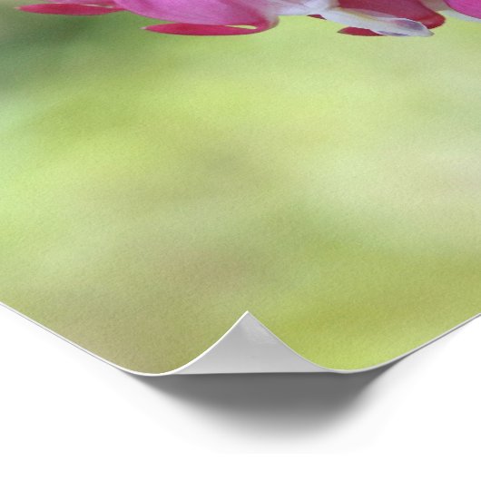 Rosa Blutungen Herzbluten Poster (Ecke)