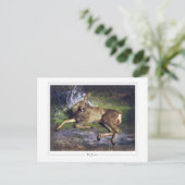 Rosa Bonheur #127 - Fine Art Postkarte (Stehend Vorderseite)