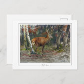 Rosa Bonheur #135 - Fine Art Postkarte (Vorne/Hinten)