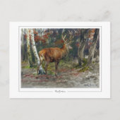 Rosa Bonheur #135 - Fine Art Postkarte (Vorderseite)