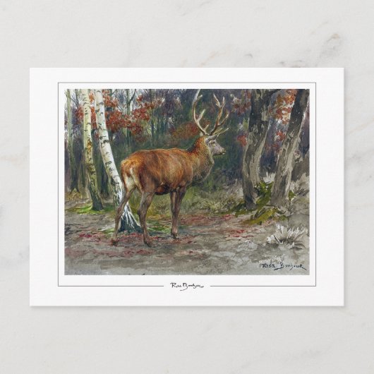 Rosa Bonheur #135 - Fine Art Postkarte (Vorderseite)