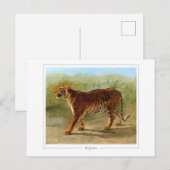 Rosa Bonheur #52 - Fine Art Postkarte (Vorne/Hinten)