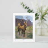 Rosa Bonheur #57 - Fine Art Postkarte (Stehend Vorderseite)