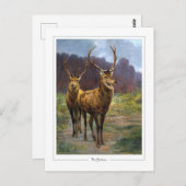 Rosa Bonheur #57 - Fine Art Postkarte (Vorne/Hinten)