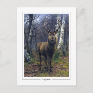 Rosa Bonheur #5 - Feine Kunst Postkarte
