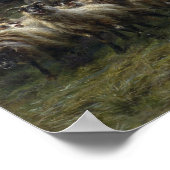 Rosa Bonheur Highland Raid Poster (Ecke)