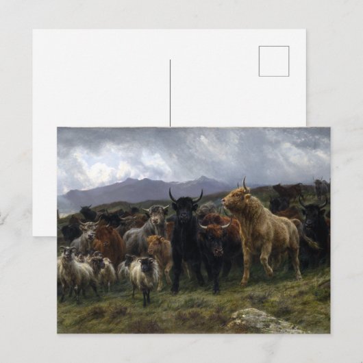 Rosa Bonheur Highland Raid Postkarte (Vorne/Hinten)