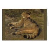 Rosa Bonheur, junge Wildkatze CC0481 (Vorderseite (Horizontal))