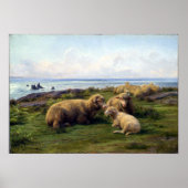 Rosa Bonheur Sheep am Meer Poster (Vorne)