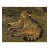 Rosa Bonheur Wild cat 1850 Poster (Vorderseite)