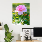 Rosa Bonica '82 Poster (Heimbüro)