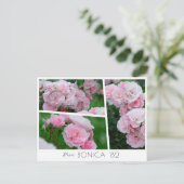  Rosa Bonica '82 Postkarte (Stehend Vorderseite)