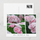  Rosa Bonica '82 Postkarte (Vorne/Hinten)