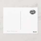 Rosa Bonica '82 Postkarte (Rückseite)