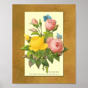 Rosa-Botanik in Rosa und Gelb, Faux-Pergament-Kuns Poster