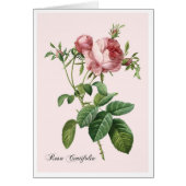Rosa-Botanik-Kunst-Notizkarte in Rosa (Vorne)