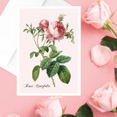 Rosa-Botanik-Kunst-Notizkarte in Rosa