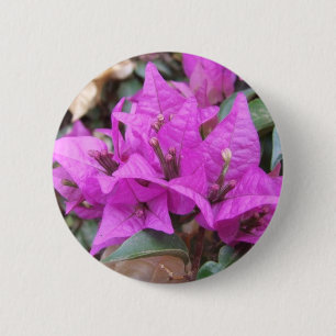Rosa Bouganvilla-Blumen-Knopf Button