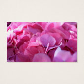 Rosa Bounty, Save the Date (Rückseite)
