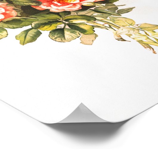 Rosa Bouquet Vintag Poster (Ecke)