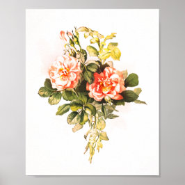 Rosa Bouquet Vintag Poster